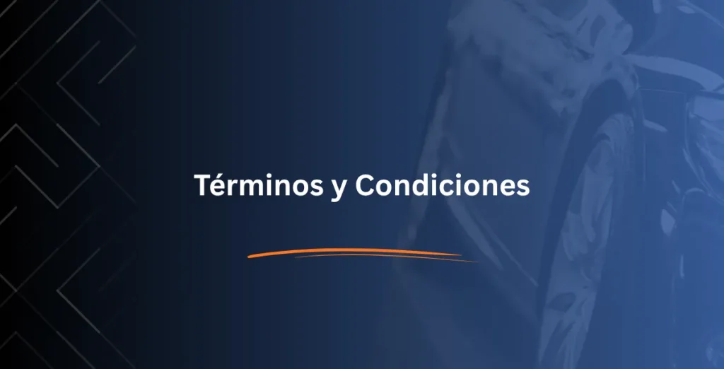 Términos y Condiciones - Consulta RUNT